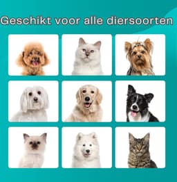 Hondentondeuse Met Stofzuiger En Hondenborstel – Elektrische Huisdierborstel Met 12.000 Pa Zuigkracht En 2-5 L Capaciteit (Witgrijs) — thumbnail 4