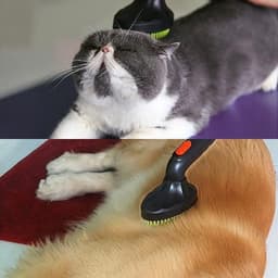 Dparts universeel hondenborstel stofzuiger - 32mm + 35mm - hondenkam van rubber - diervriendelijk hondenhaar en kattenhaar opzetstuk, hulpstuk, accessoire, stofzuigerborstel, stofzuigermondstuk, mondstuk, borstel voor hondenharen - dierenhaarborstel — thumbnail 5