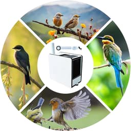 Elektrische Voedselblazer - Vogelvoer Separator - Voer Voorbereiden - Efficiënte Puinverwijdering - 18 x 9.5 x 16 cm - Wit — thumbnail 5