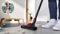 Bosch Serie 6 BGL6PET3 stofzuiger 4 l Droog 700 W Stofzak — thumbnail 4