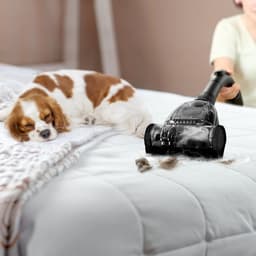 AG3400 Stofzuiger Zonder Zak - Stofzuigers - Vacuum Cleaner Zakloos - Geschikt Voor Dierenharen - Extra Lange Kabel - 850W - Sterke Zuigkracht - Black Edition — thumbnail 4