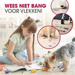 CLEANmaxx AquaStream Plus Duo Tapijtreiniger, 3-in-1 vloerreiniger voor tapijt, harde vloeren en als kussenreiniger, hete lucht natzuiger met XXL-accessoireset incl. dubbele tank, wielen, sproeiers en — thumbnail 2