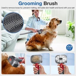 Dailygoods - Hondenverzorgingsset voor Dyson V7, V8, V10, V11, V12, V15, G5 - Opzetstukken voor huisdieren — thumbnail 4