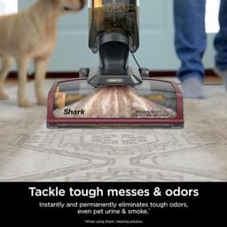 Tapijtreiniger – Vloerkleedreiniger – Tapijtreiniger Machine – Vloerkleedstofzuiger – Tapijtshampoo – Diepe Reiniging Met HairPro Technologie – Dual-Tank Systeem Voor Geur- En Vuilverwijdering — thumbnail 4