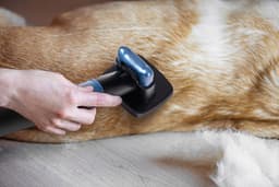 Zelfreinigende stofzuigerborstel voor dierenharen — thumbnail 5