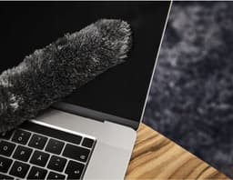 Zachte stofzuigerborstel voor delicate oppervlakken — thumbnail 3