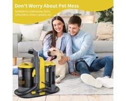Draagbare Vlekkenreiniger - 11000 PA Zuigkracht - 600W - 0,5L Reservoir - ABS Materiaal - Voor Auto En Bekleding