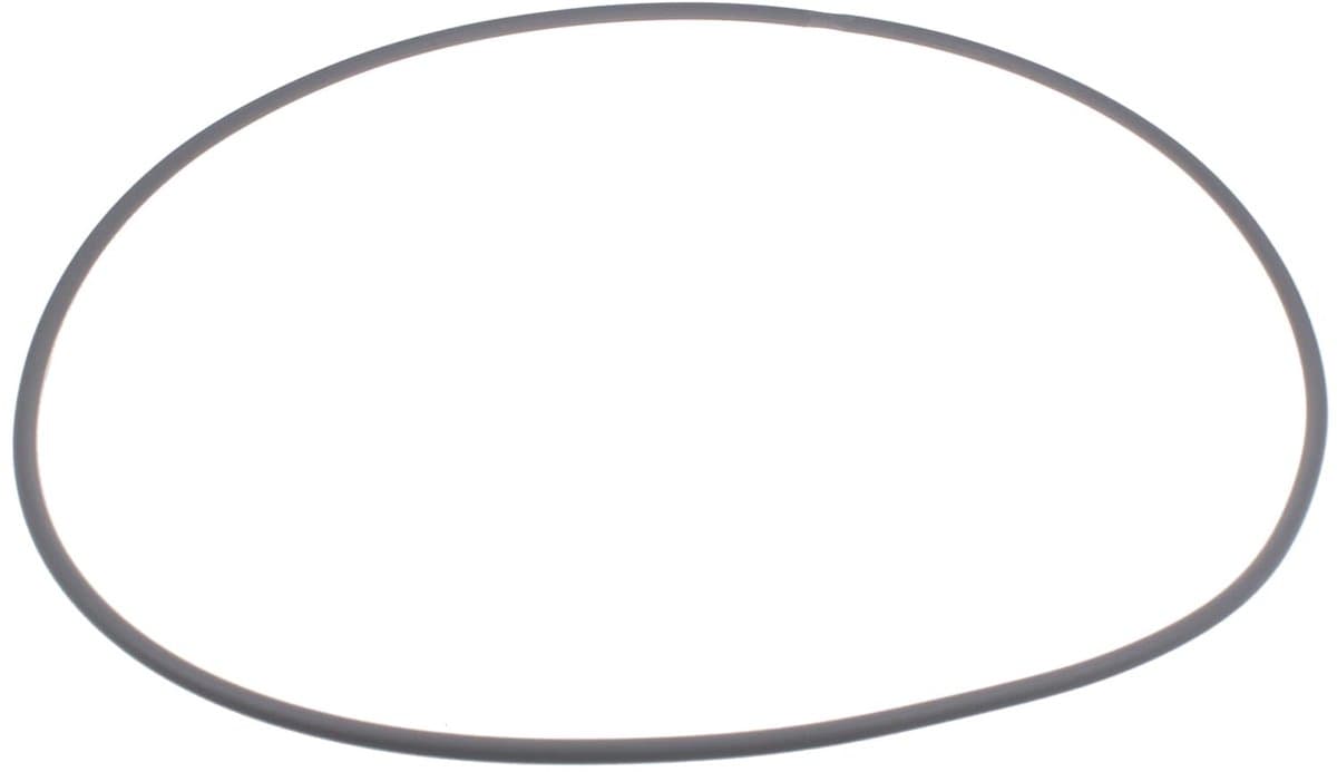 KARCHER - Ronde riem Ø 8 X 1460mm - 63484340 — afbeelding 1
